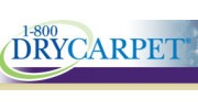 1 800 Dry Carpet Houston